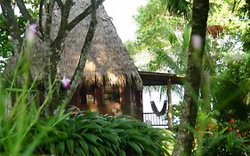 Bosque Del Cabo Rain Forest Lodge